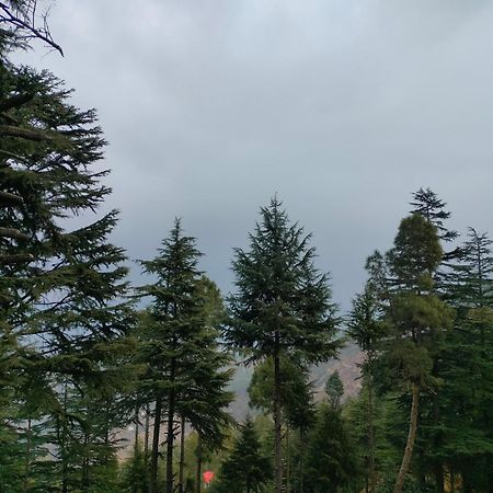 The Alpine Vista Ξενοδοχείο Almora Εξωτερικό φωτογραφία